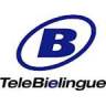 TeleBielingue lanciert neues Sendegefäss für den Freiburger Seebezirk